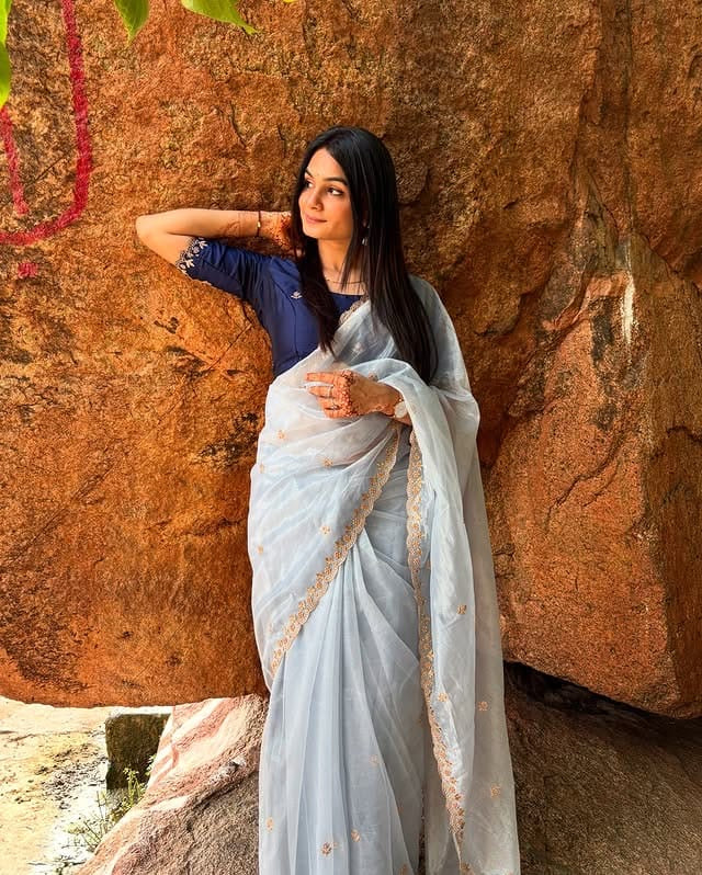 organza soft silk saree with handwoven work