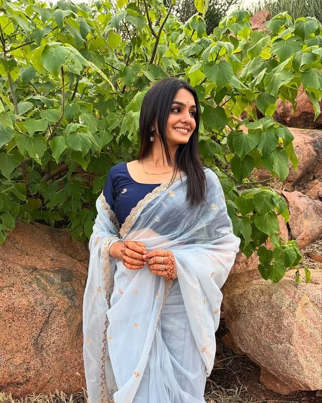 organza soft silk saree with handwoven work