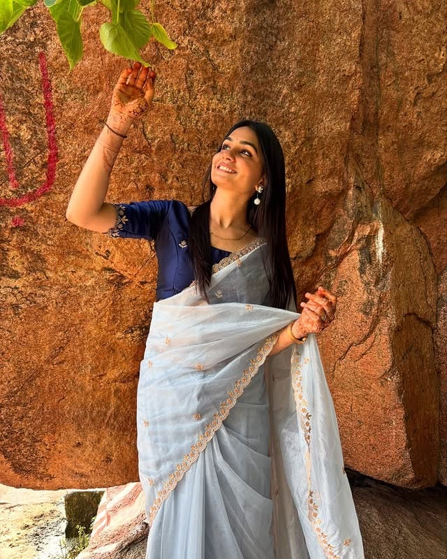 organza soft silk saree with handwoven work